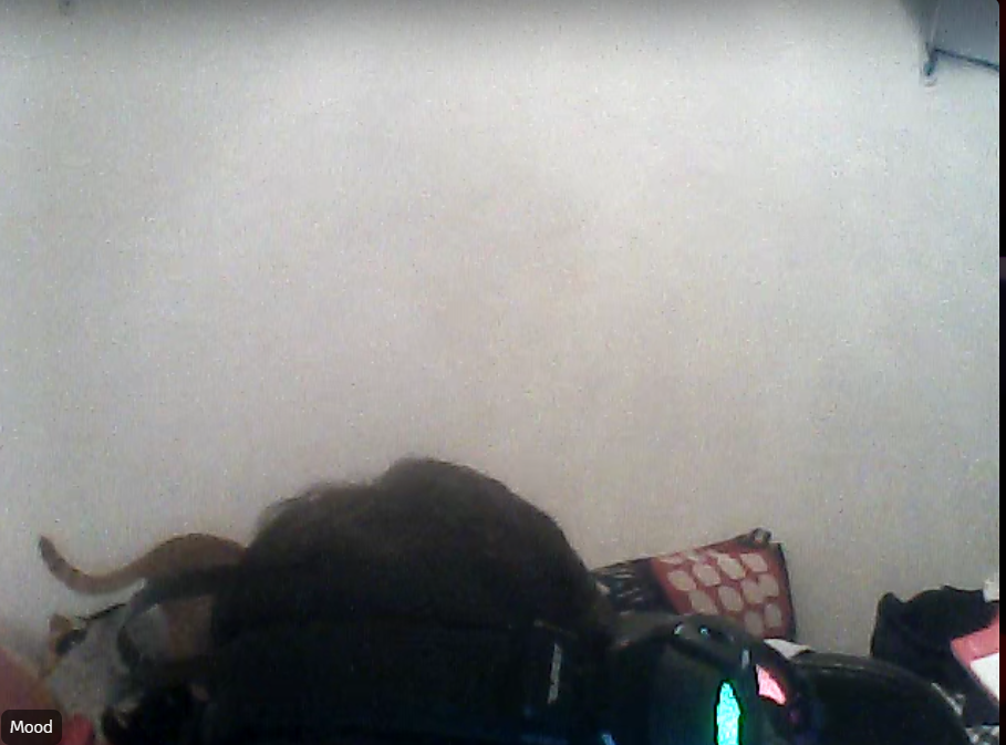 Captura de pantalla 2025-10-17 191706.png